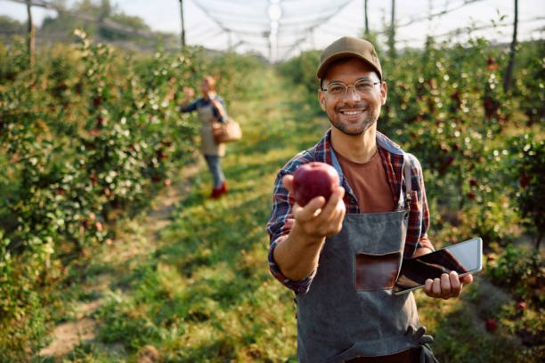 Fruit Farm Worker Job In Australia