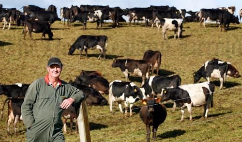 Dairy Farm Assistant Job in New Zealand